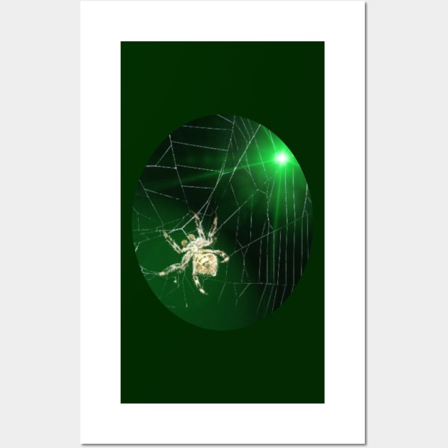 Spider Wall Art by Boss Ressa